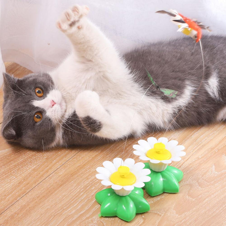 Interactive Cat Toy Cat Teaser Pet Supplies